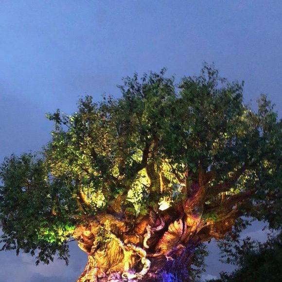 Meet your Posher, Andrew - Picture 1 of 1